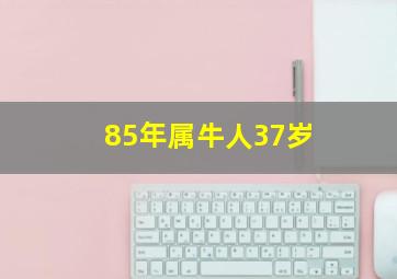 85年属牛人37岁