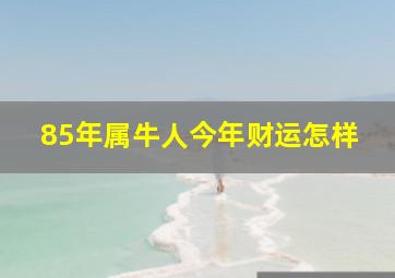 85年属牛人今年财运怎样