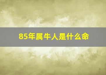 85年属牛人是什么命