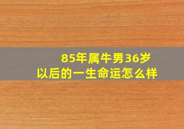 85年属牛男36岁以后的一生命运怎么样