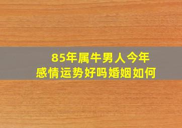 85年属牛男人今年感情运势好吗婚姻如何