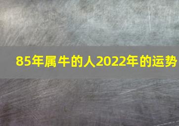 85年属牛的人2022年的运势