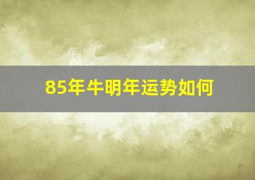 85年牛明年运势如何