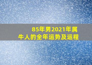 85年男2021年属牛人的全年运势及运程