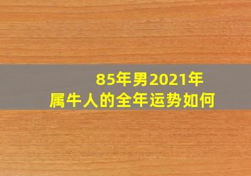 85年男2021年属牛人的全年运势如何