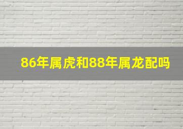 86年属虎和88年属龙配吗