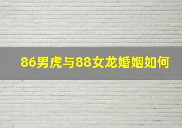 86男虎与88女龙婚姻如何