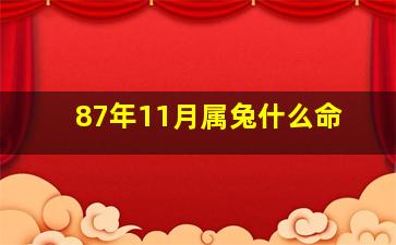 87年11月属兔什么命