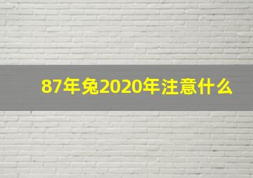 87年兔2020年注意什么