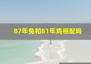 87年兔和81年鸡相配吗