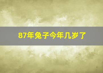 87年兔子今年几岁了