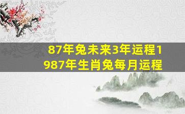 87年兔未来3年运程1987年生肖兔每月运程