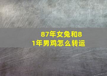 87年女兔和81年男鸡怎么转运