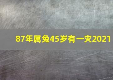 87年属兔45岁有一灾2021