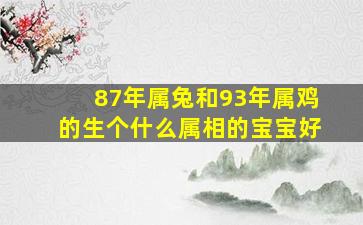 87年属兔和93年属鸡的生个什么属相的宝宝好