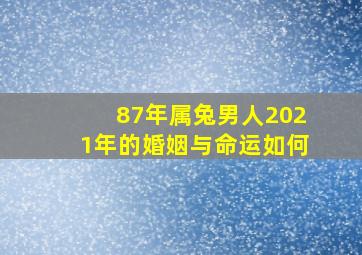 87年属兔男人2021年的婚姻与命运如何