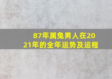 87年属兔男人在2021年的全年运势及运程