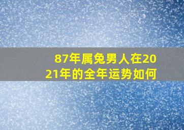 87年属兔男人在2021年的全年运势如何