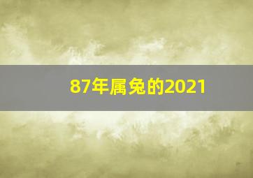 87年属兔的2021