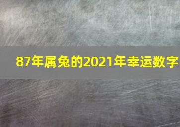 87年属兔的2021年幸运数字