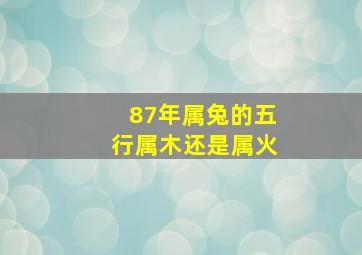 87年属兔的五行属木还是属火