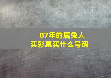 87年的属兔人买彩票买什么号码