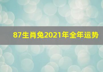 87生肖兔2021年全年运势