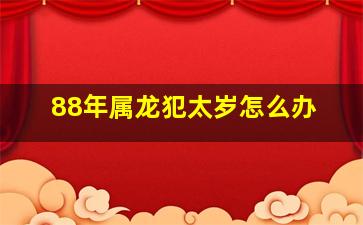 88年属龙犯太岁怎么办