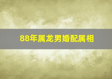 88年属龙男婚配属相