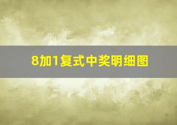 8加1复式中奖明细图