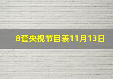 8套央视节目表11月13日