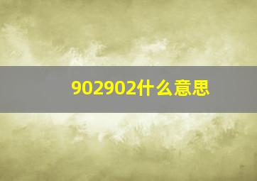 902902什么意思