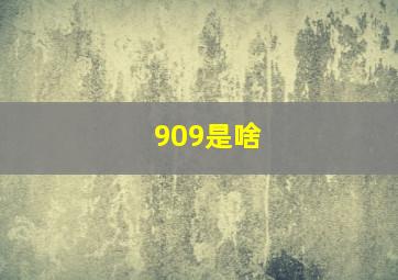 909是啥