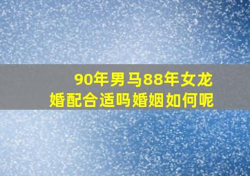 90年男马88年女龙婚配合适吗婚姻如何呢