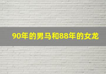 90年的男马和88年的女龙