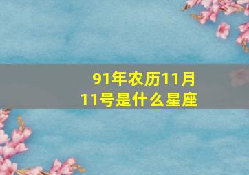 91年农历11月11号是什么星座