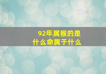 92年属猴的是什么命属于什么