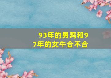 93年的男鸡和97年的女牛合不合