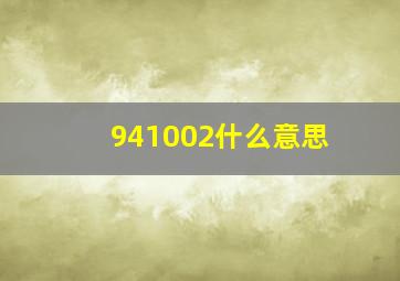 941002什么意思