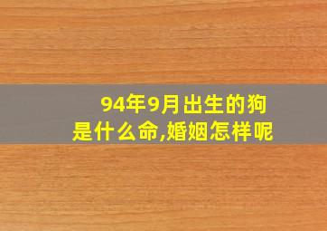 94年9月出生的狗是什么命,婚姻怎样呢