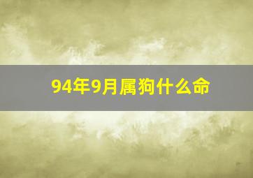 94年9月属狗什么命