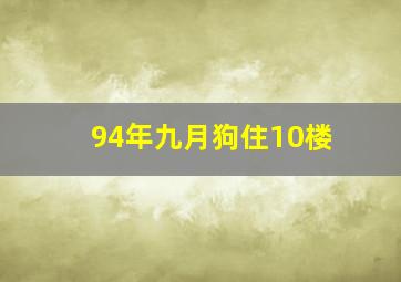 94年九月狗住10楼