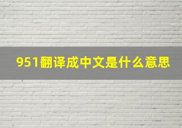 951翻译成中文是什么意思