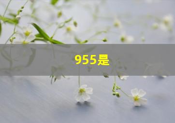 955是