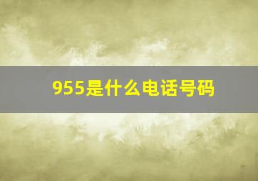 955是什么电话号码