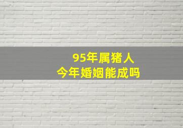 95年属猪人今年婚姻能成吗