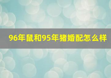 96年鼠和95年猪婚配怎么样