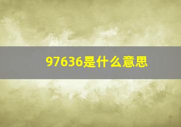 97636是什么意思