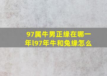 97属牛男正缘在哪一年l97年牛和兔缘怎么