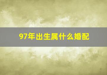 97年出生属什么婚配